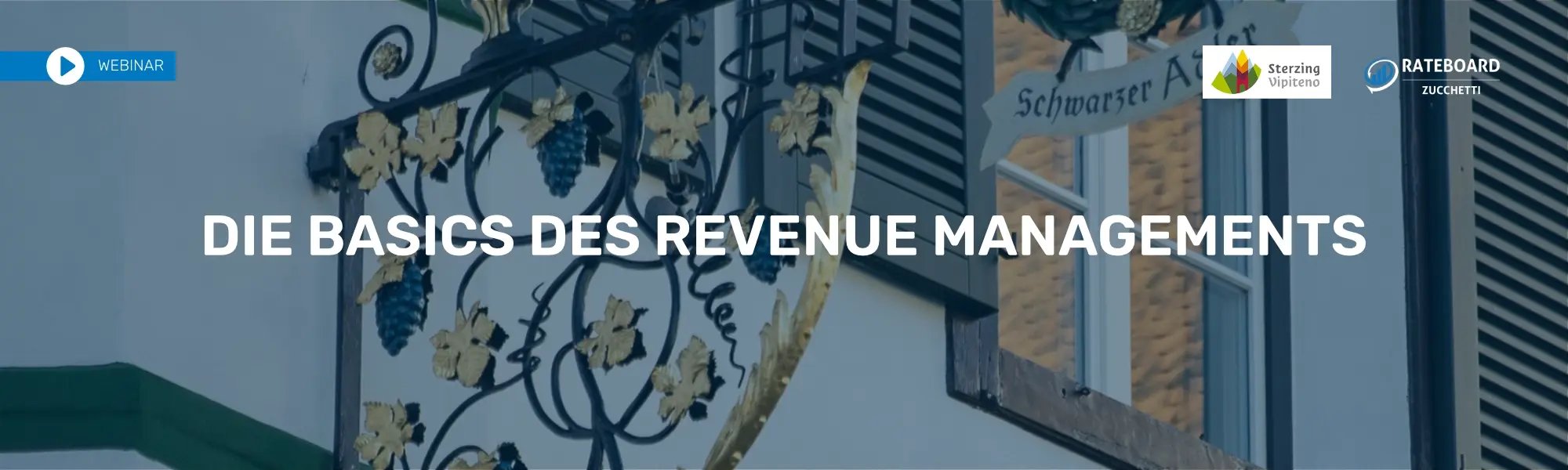 Banner Die Basics des Revenue Managements